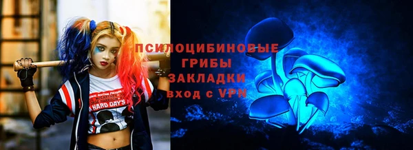 Альфа ПВП Горняк