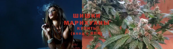 Альфа ПВП Горняк