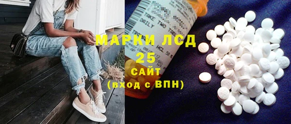 Альфа ПВП Горняк