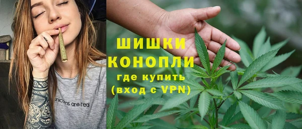 Альфа ПВП Горняк