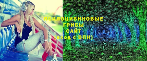 Альфа ПВП Горняк