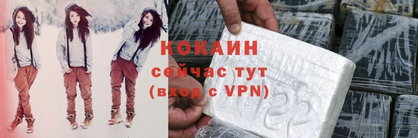 тгк Горно-Алтайск