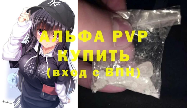 Альфа ПВП Горняк