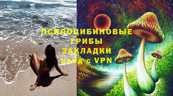 тгк Горно-Алтайск