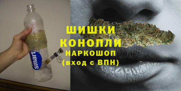 Альфа ПВП Горняк