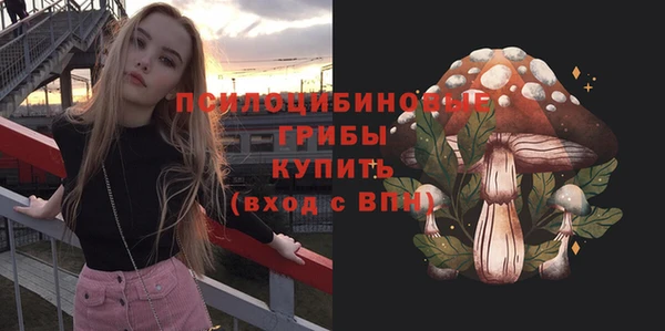 первитин Горнозаводск