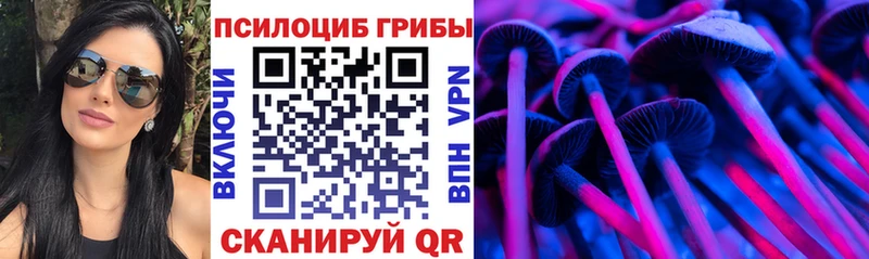 Псилоцибиновые грибы Psilocybe  Купить где  Дно 